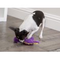 thumbnail image 6 of goDog® Dinos Bruto Just For Me Checkers with Chew Guard Technology™ Plush Dog Toy, Purple, Mini, 6 of 9
