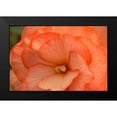 thumbnail image 2 of Crane, Rita 14x11 Black Modern Framed Museum Art Print Titled - Orange Ruffles II, 2 of 5