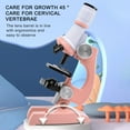 thumbnail image 4 of Microscope - 9.6 x 7.5 x 3.5in, 1200X Magnification with LED Light & Accessory Kit for Science Education(Pink), 4 of 6