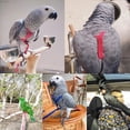 thumbnail image 2 of Methold Correa y arnés ajustables de nailon para pájaros Arnés y correa prácticos y duraderos para pájaros y loros para mascotas Aseo de mascotas, 2 of 6
