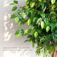 thumbnail image 4 of WORTH 63inch Artificial Plants, Realistic Fake Fiddle Leaf Fig Tree, Faux Silk Plant,Ficus Lyrata Plant Greenery for Office, 1596 Leaves, Indoor Outdoor Decor, Black pot 20g, 4 of 7