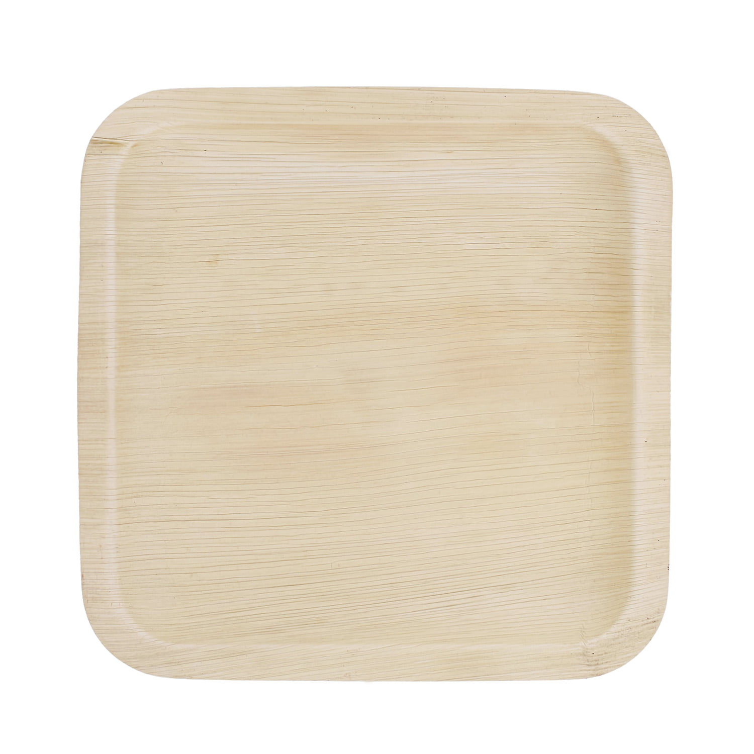 Spec101 Palm Leaf Plates 25 Pack 10 Inch Square Biodegradable Party Plates 