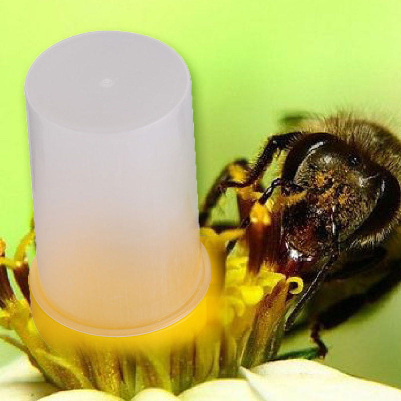 Details about   700ml Beehive Bee Drink Nest Entrance Water Feeder Beekeeper Cup Feed Equipments 