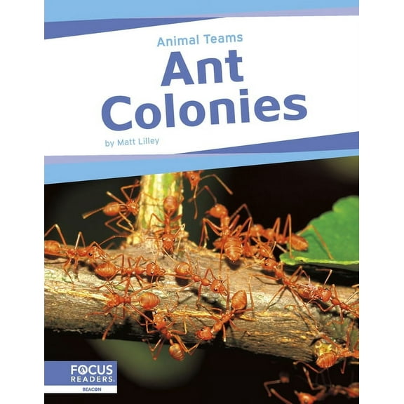 Ant Colonies, (Hardcover)