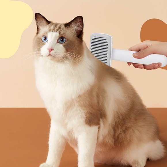 Special Large Cat Hair Removal Comb Needle Brush for Grooming and Shedding Control