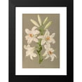 thumbnail image 2 of Arentine H. Arendsen 14x18 Black Modern Framed Museum Art Print Titled - Lilium (1872-1881), 2 of 5
