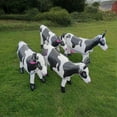 thumbnail image 6 of Inflatable Cow Blow Up Animal Inflatable Toy Cow Cow Birthday Party Decorations Giant Inflatable Cow Balloons Farm Party Decorations for Boys Girls, 6 of 7