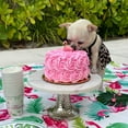 thumbnail image 6 of CANINI by Baguette Leopard Print Sundress, Large, 6 of 7