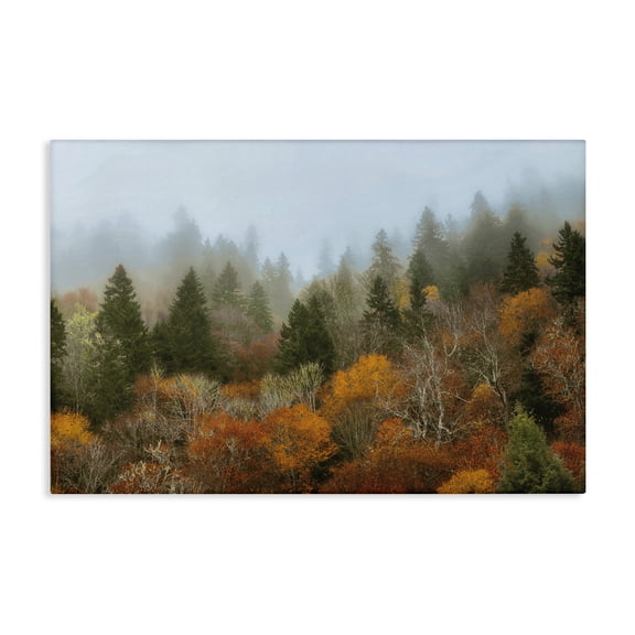 Stupell Industries Autumn Mountain Overview Canvas Wall Art design by D. Burt, 16 x 24