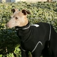 thumbnail image 3 of HQREA Italian Greyhound Clothes Onesie Thin Soft Turtleneck Whippet Dog Coat Jumpsuit, 3 of 6
