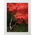 thumbnail image 3 of Vitaly Geyman 14x18 White Modern Wood Framed Wall Art Titled - Maple Beauty I, 3 of 5