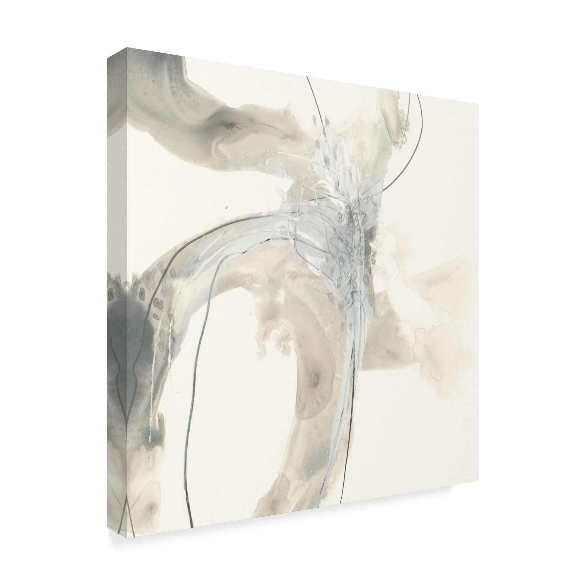 Trademark Fine Art 'Divination II' Canvas Art by June Erica Vess