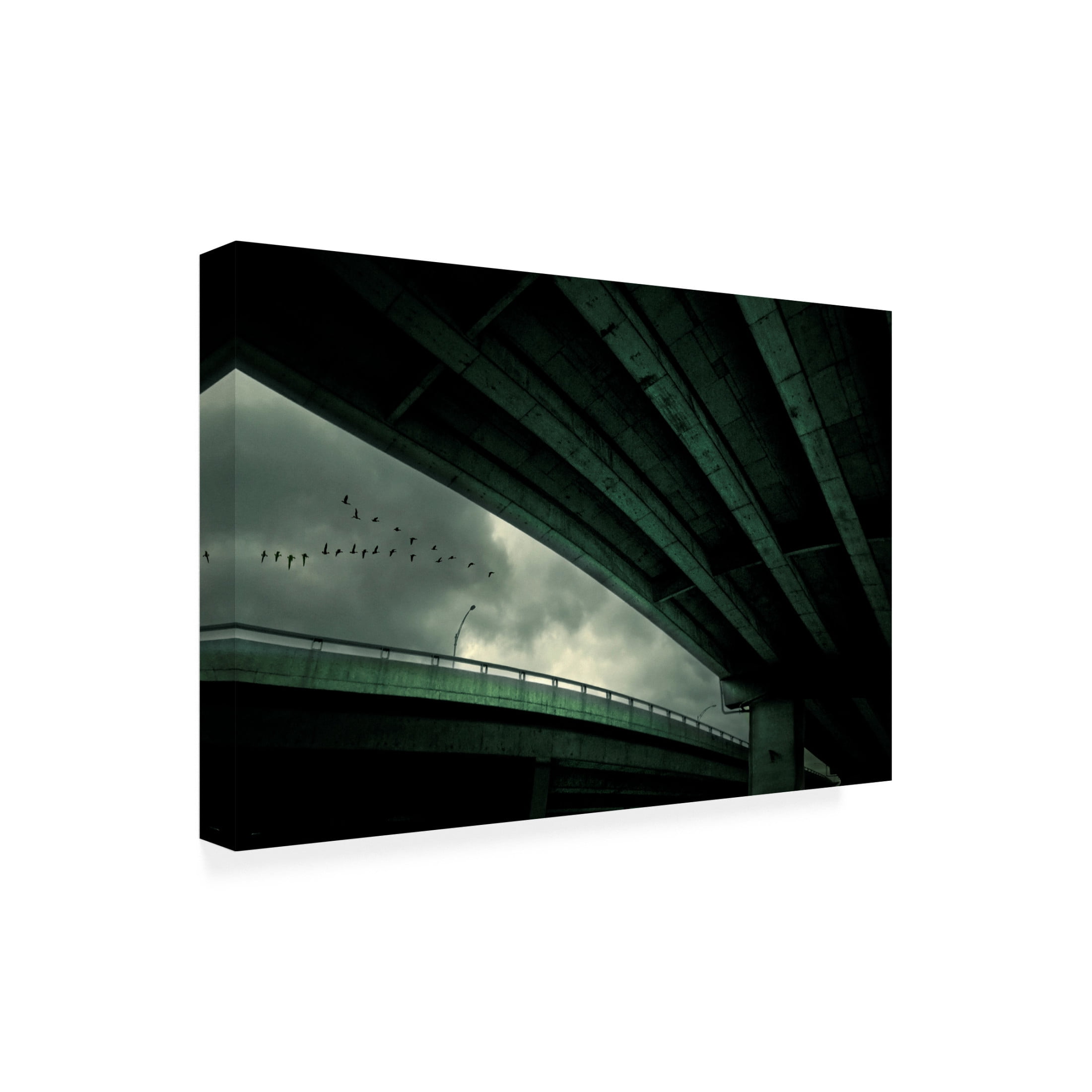 Canvas Wall Art - David Senechal Photographie 'Last Flight' Wall Art for Living Room, Bedroom, or Office D?cor by Trademark Fine Art - 24 x 16 Inches