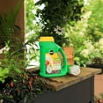 thumbnail image 4 of Miracle-Gro Shake N Feed All Purpose Plant Food - 3.6kg, 4 of 6