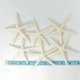 thumbnail image 5 of 12pcs White Finger Starfish 5-10cm Decorative Five-finger Starfish, 5 of 5