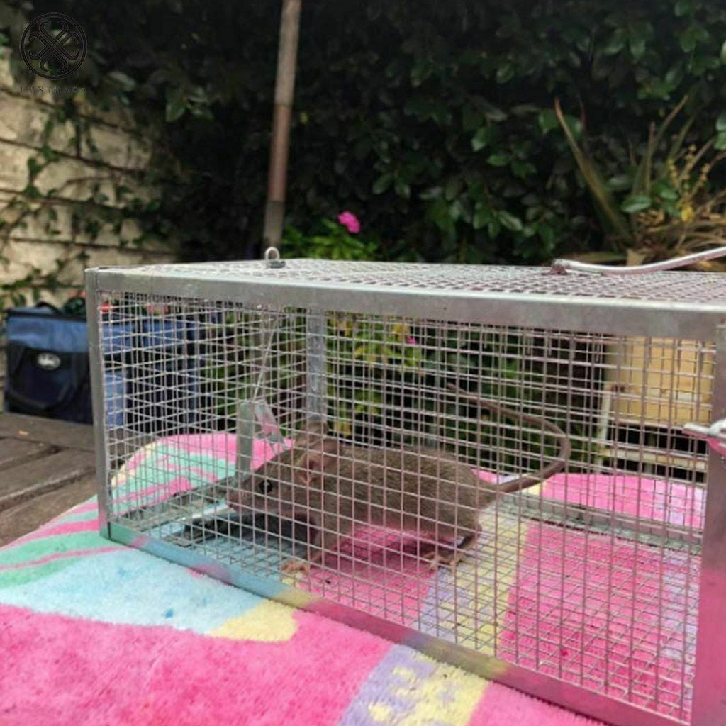 Luxtrada 2pcs Small Animal Humane Live Cage Rat Mouse Mice Chipmunk Small Rodent Catch Trap for Indoor and Outdoor for Gopher Opossum Skunk Groundhog Squirrel Spay Feral Stray Cats Rescue Wild Rabbits