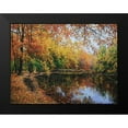 thumbnail image 2 of Cernov, Ivan 14x12 Black Modern Framed Museum Art Print Titled - Autumn Sings with the River, 2 of 5