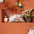 thumbnail image 3 of Fall Pillow Covers 18x18 inch Set of 2 Orange White Pumpkin Fallen Leaves Decorative Outdoor Throw Pillow Covers Autumn Thanksgiving Farmhouse Decoration for Home Couch TH27-A18, 3 of 6