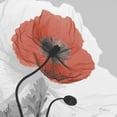 thumbnail image 2 of Koetsier, Albert 15x15 Gold Ornate Wood Framed with Double Matting Museum Art Print Titled - Poppy Prince, 2 of 4