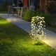 thumbnail image 4 of Luces Solares de Suelo con Forma de Petardos | Estacas Solares de Acero Inoxidable para Jardín de 75 Cm | Decoración Led Blanca Cálida y Colorida para Exteriores | Iluminación Solar de Bajo Consumo |, 4 of 6