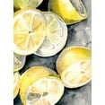 thumbnail image 2 of Parker, Jennifer Paxton 15x18 White Modern Wood Framed Museum Art Print Titled - Lemon Slices I, 2 of 4
