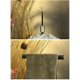 thumbnail image 4 of Cateissary Pack of 20 Transparent Mushroom Head Hanging Tabletop PVC Mirror Cups Waterproof Windshield Tool Suction Suckers Home 2cm Almacenamiento y organización del hogar Cateissary BFH000249-00, 4 of 6