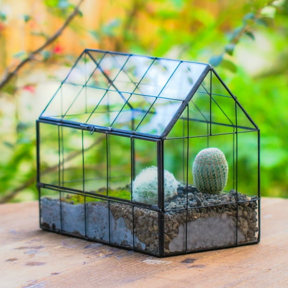 NCYP Geometric Glass Terrarium with Front Opening Door, House Shape Closed Micro Landscape Planter Box for Small Succulent, Cacti - Home Indoor Tabletop Decor, Handmade, Black (No Plants)