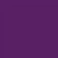 thumbnail image 4 of Playera Blusa De Familia Capybara Ropa Para Mujer Capibara Color Morado Talla Grande Marca Emil SaEs, 4 of 4