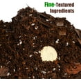 thumbnail image 2 of Organic Money Tree Soil Mix 2qt, Indoor Plants Potting Mix for All Potted Money Tree, Grow Healthy houseplants Indoors, 2 of 3