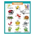 Cartoon Insects Chart Educational Insects & Bugs Poster - Nature Learning Chart for Preschool ...