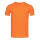 thumbnail image 1 of Stedman Stars - Camiseta de cuello redondo modelo Morgan para hombre (Calabaza), 1 of 2