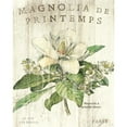 thumbnail image 2 of Magnolia de Printemps Poster Print by Sue Schlabach, 2 of 2