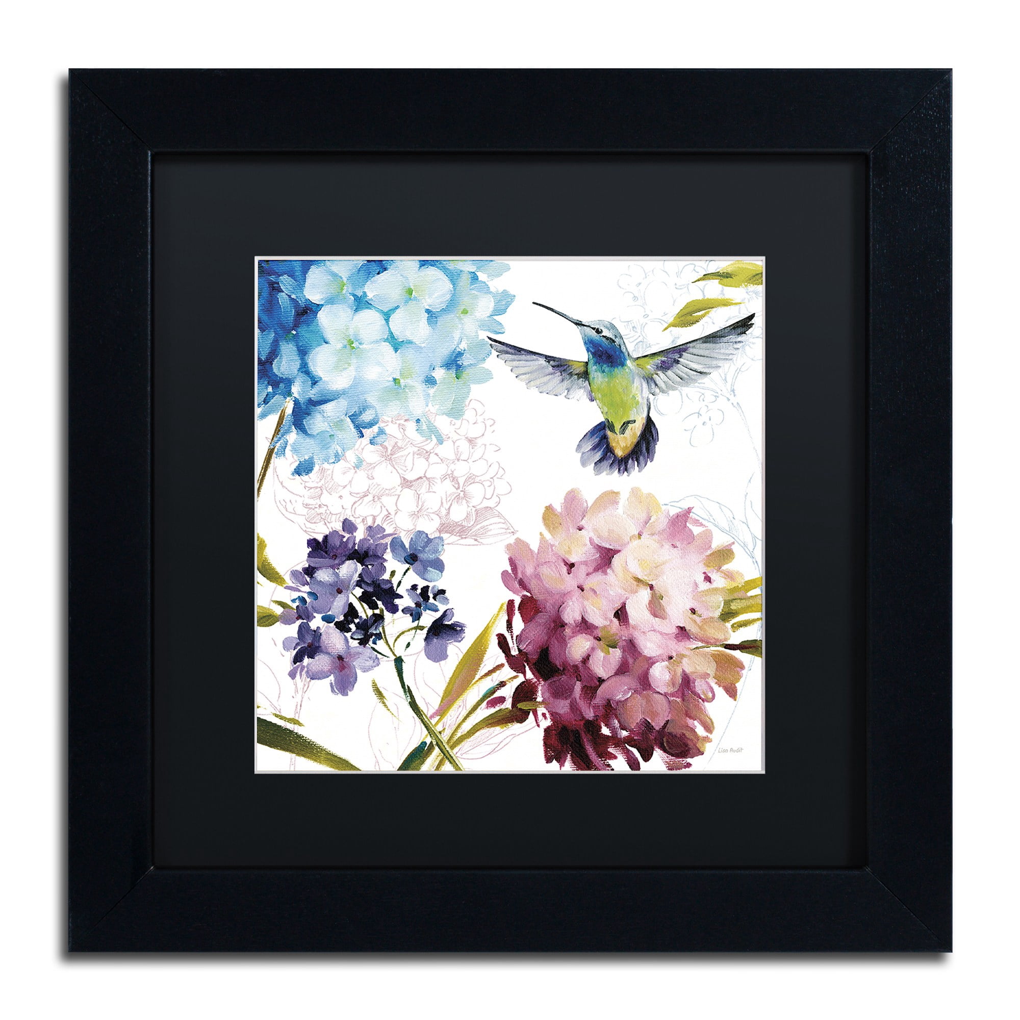 Trademark Fine Art "Spring Nectar Square III" Canvas Art by Lisa Audit, Black Matte, Black Frame