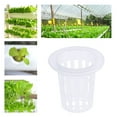thumbnail image 3 of BESTYASH 10Ud Macetas De Red Plástica Transparentes Para Cultivo De Verduras Hidropónicas, 3 of 8