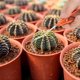 thumbnail image 5 of Gancho de raíz de bonsái de alta calidad, gancho de raíz de garra resistente, herramienta de jardín para perder tierra Unbranded JY41055, 5 of 7