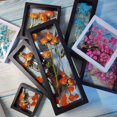 thumbnail image 1 of Marco de fotos para almacenamiento de flores secas de rosas para el día de San Valentín, soporte de exhibición para collares de flores de rosas, muestra de joyería, soporte de exhibición, 1 of 6