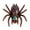 Brown, variant on Easter Window ! Will Crawl Down Any Glass Or Glossy Wall! For Party Cat Game Toddler for Kids Hand Games for Boys Family Finger Puppets Animal Catch Pole Keyboard Poppet Bottle Flipping Shirt