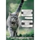 thumbnail image 3 of Airtag Katzenhalsband Airtag Dog Collar Waterproof Apple Airtag Katzen Backpack, Ultra Durable, Suitable for collars of all widths, 3 of 4