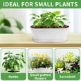 thumbnail image 4 of 5 Set Window Herb Planter Box Rectangular,8.5x3.5 Inch White Plastic Planters with Multiple Drainage Holes and Trays,Indoor Succulent Cactus Mint Flower Pot for Windowsill,Garden Balcony, 4 of 7