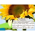 thumbnail image 2 of Spray de protección solar Babo Botanicals Sheer Zinc SPF30, paquete de 2, 2 of 9