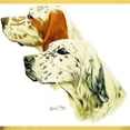 thumbnail image 3 of CafePress - Eng Setter Multi Light T Shirt - Light T-Shirt - CP, 3 of 4