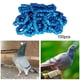 thumbnail image 5 of Bandas para Los pies de paloma Salvador Anillos para patas de paloma 2024 Azul, 5 of 10
