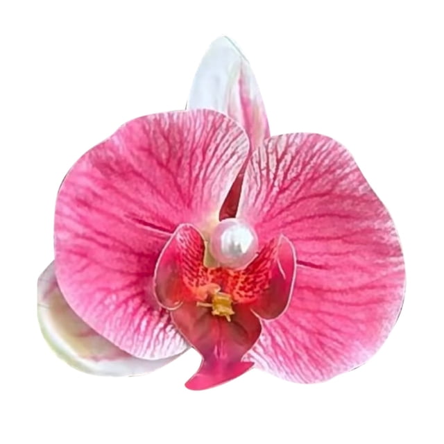 Horquilla para el pelo Flor Bohemia Horquilla para el pelo Phalaenopsis Adecuado para Seaside Holiday Horquilla para el pelo de novia Adecuado para las señoras Chicas Niños
