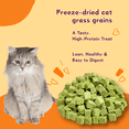 thumbnail image 6 of Tender Touch Cat Grass Cubes for Healthy Digestion and Hairball Control, Natural Cat Treats with Real Chicken, High-Fiber & Grain-Free, 3.53 oz, 6 of 9