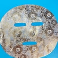 thumbnail image 1 of Disposable  Paper Sheets, Skin Care 50pcs  Paper Sheets Moisture Retention  for Home, 1 of 7