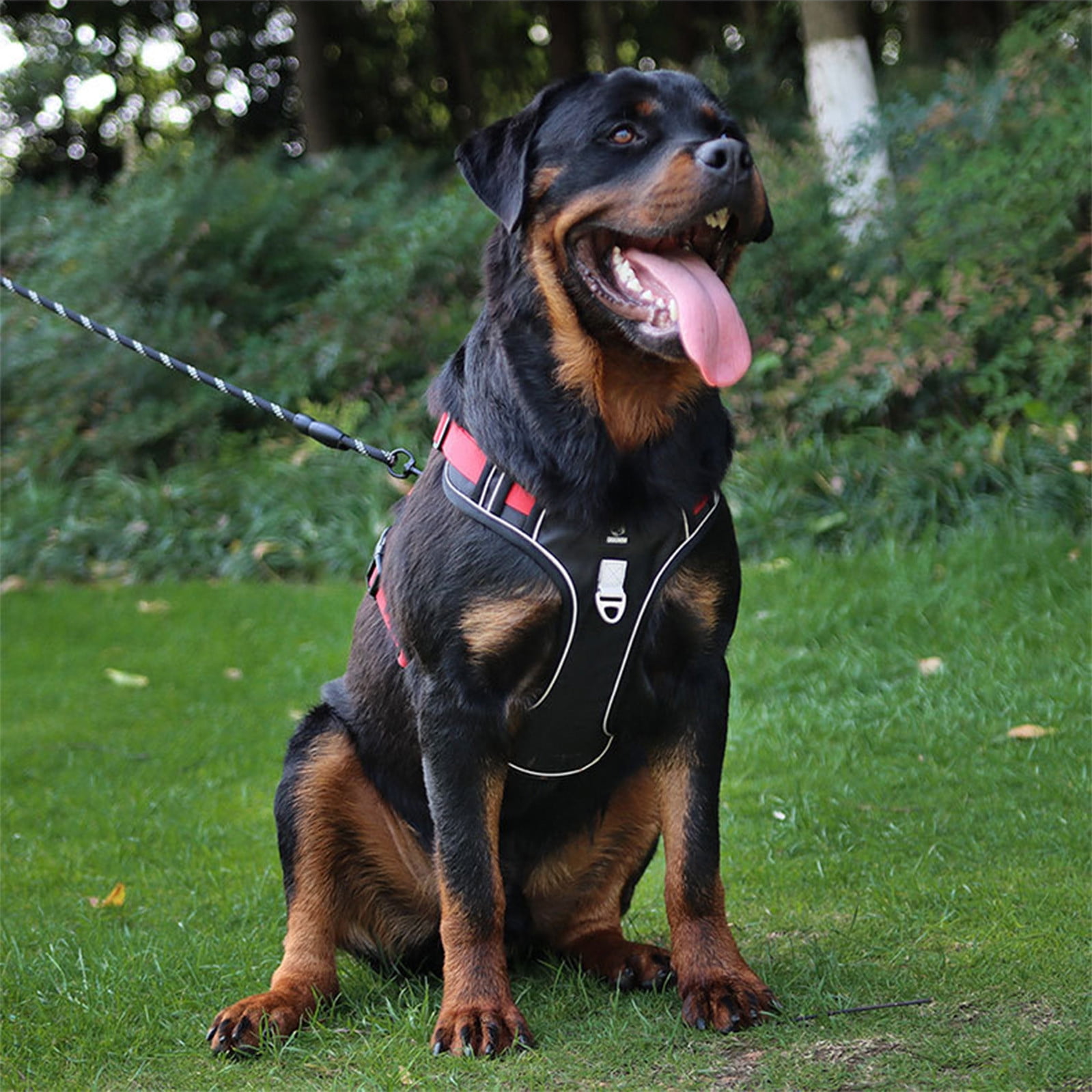 Reflective Dog Harness Leash Set Breathable Mesh Adjustable Pet Vest Chest Strap Anti Pull Safety Walking Harness for Small Medium Dogs Cats Outdoor Training Walking Control Lead Set