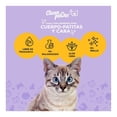 thumbnail image 3 of Toallitas Húmedas para Gato Clean Pawer Cuerpo, Patitas y Colita 30 Pzas, 3 of 4