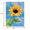 thumbnail image 2 of DIY Digital Oil Painting Kit for Adults Flowers Roses Daisies Hand Painted Coloring Art Set with Canvas Paint 10ml Healing Relaxation Gift for Beginners, 2 of 3