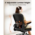 thumbnail image 3 of Silla de dibujo ErGear con altura ajustable y soporte lumbar, 3 of 7