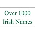 thumbnail image 4 of Garland Irish Coat of Arms Heavy Duty Outdoor Ireland Flag - 2'x3', 4 of 4